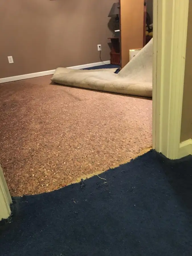 Carpet pad removal revealing water damage during Water Mitigation Services in Carneys Point