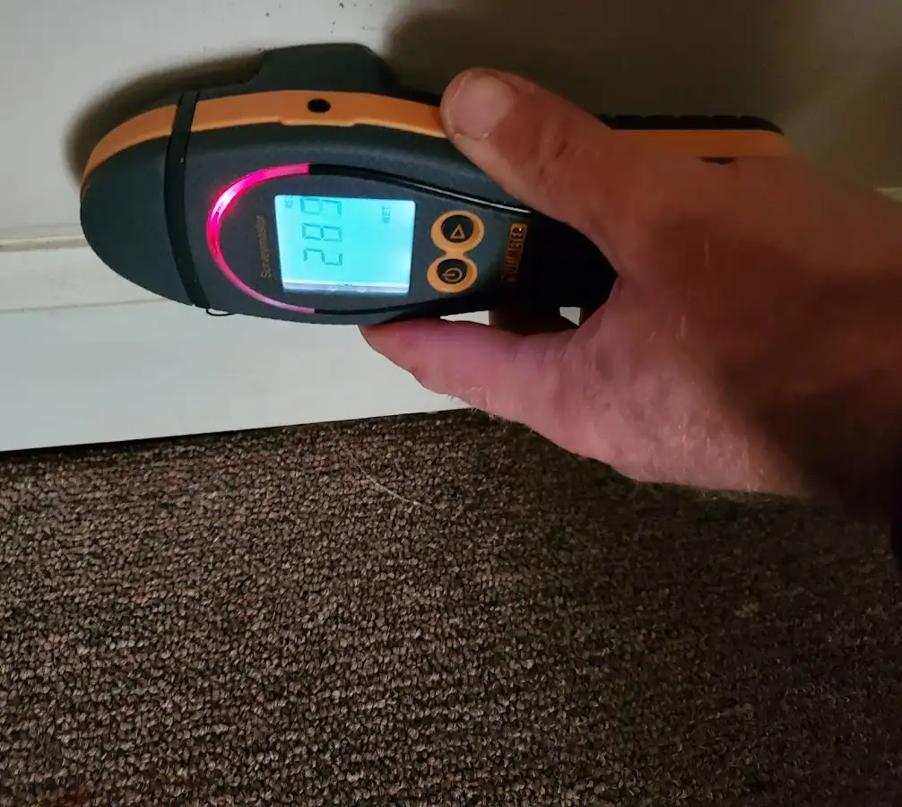 Moisture detection at baseboard during Sewage Cleanup & Sanitation in Carneys Point